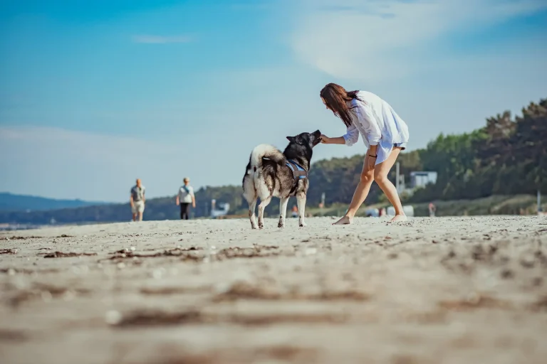 Frau spielt mit ihrem Hund am Sandstrand, während im Hintergrund Spaziergänger und Küstenlandschaft zu sehen sind.